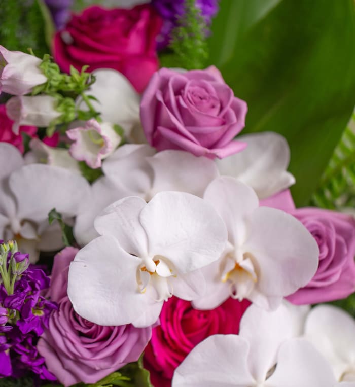 Designer Choice Birthday Flowers