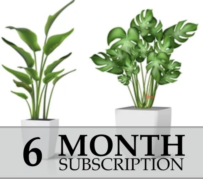 Plant Subscription 6 Month