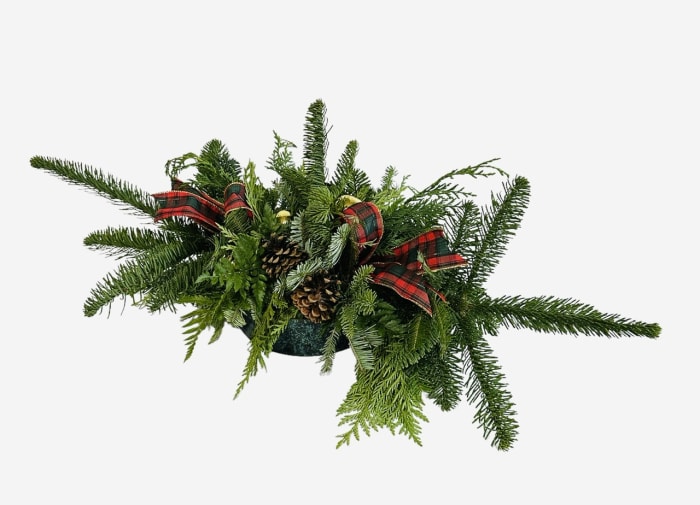 Long and Low Evergreen Centerpiece