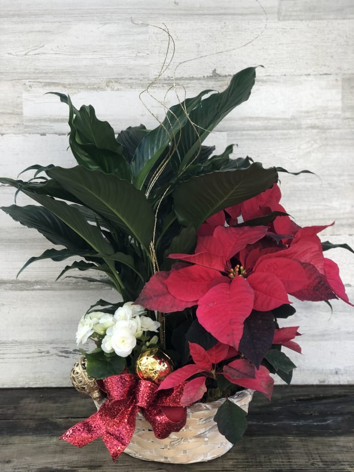 Home For The Holidays