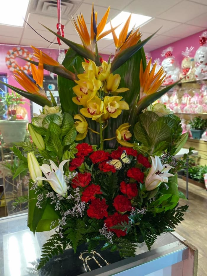 Tropical Love Summer