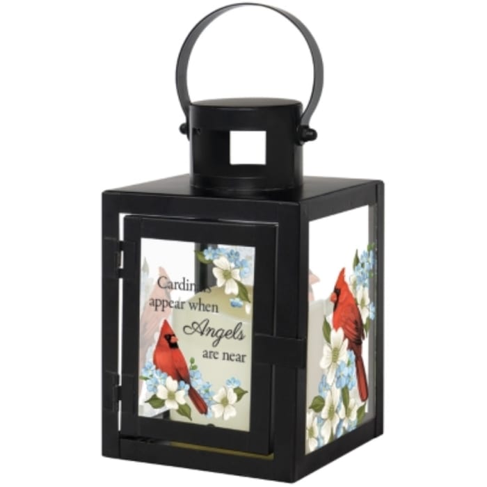 Cardinals Appear Lantern