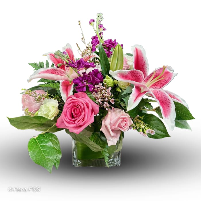 May Wishes