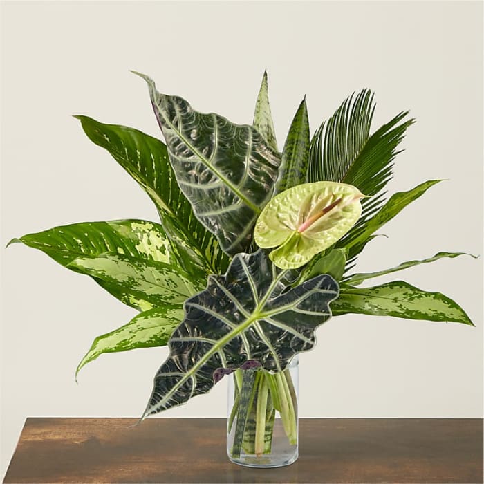 The Paradise Bouquet