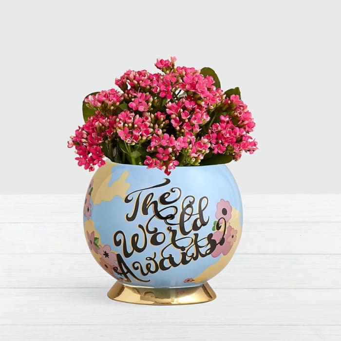 Blush of Color Calendiva in World Container