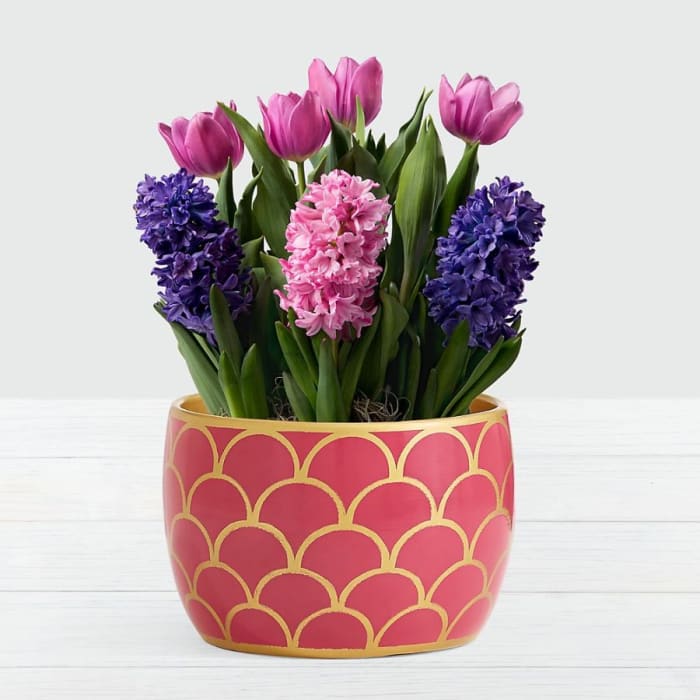 Royal Bulb Garden in Hot Pink Container