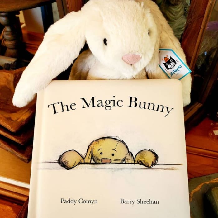 'The Magic Bunny' Book and Large Jellycat Bunny Middleboro, MA
