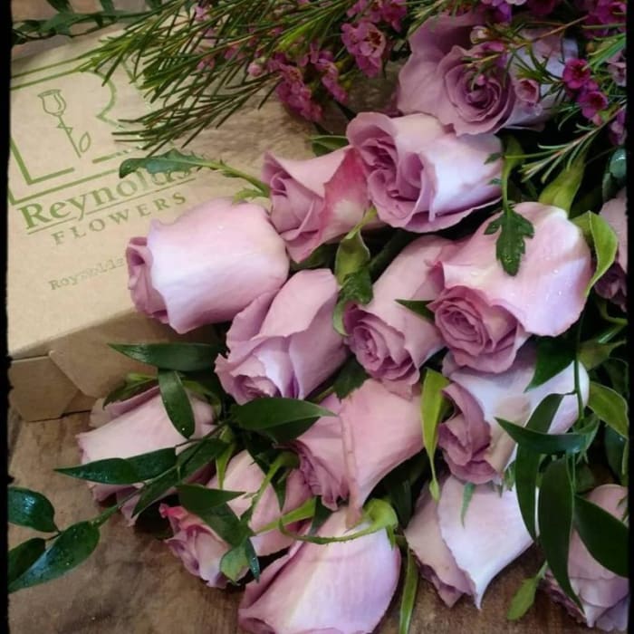 Lavender Roses, 18 boxed