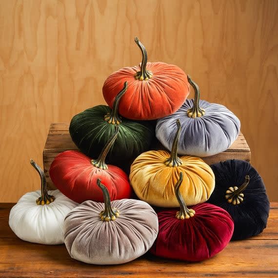 Velvet Pumpkin(s)