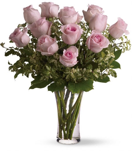 Dozen Roses Pink