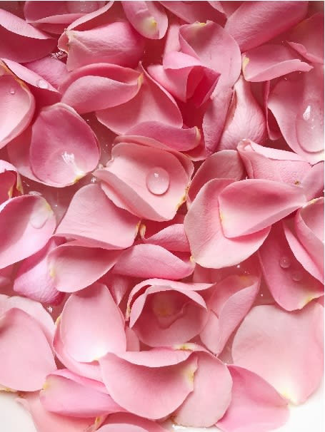 Rose Petals