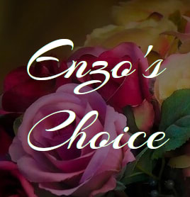 Enzo's Choice