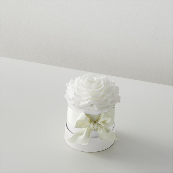 White Forever Roses