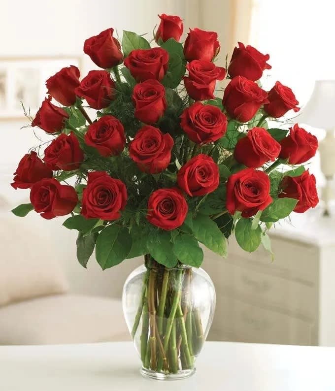 Valentine 2 Dozen Roses in a Vase