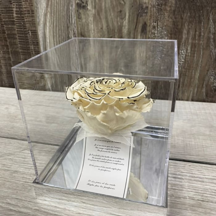 Single White Forever Rose in Acrylic Box