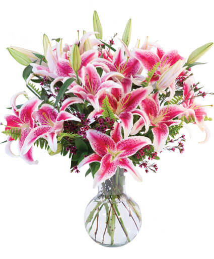 Sincere Stargazer Bouquet