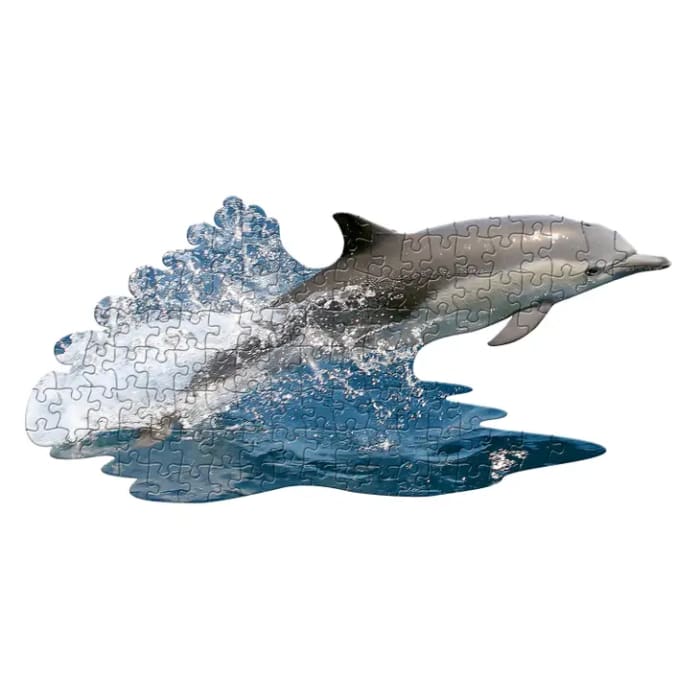 Lil Dolphin Puzzle