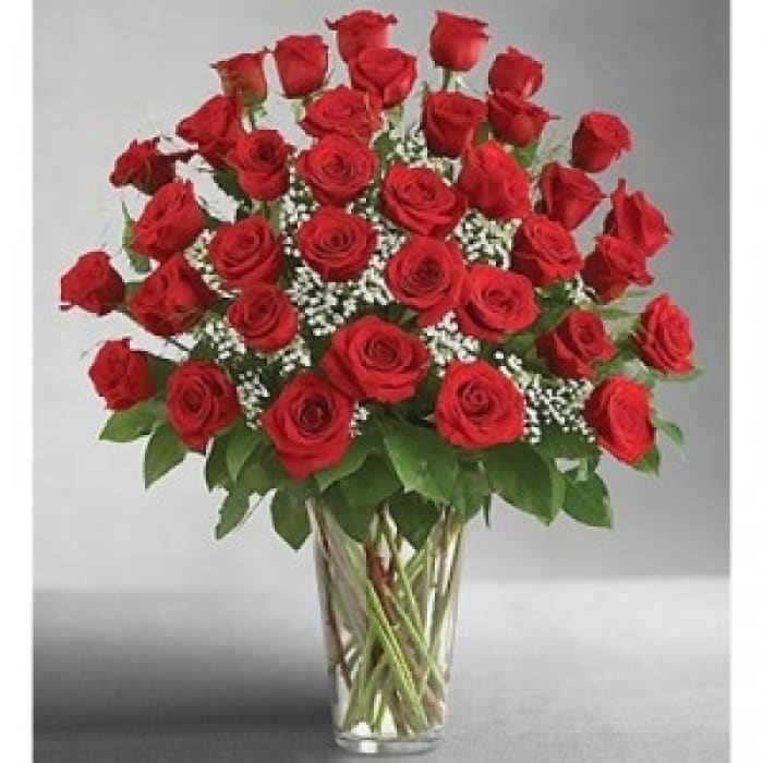 3 Dz Red Roses EBF-236