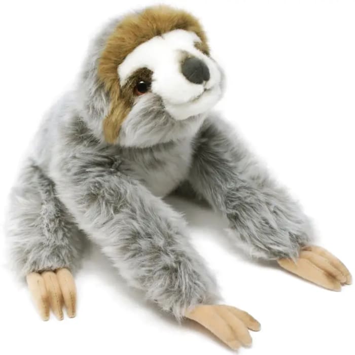 Sloth Baby Plush