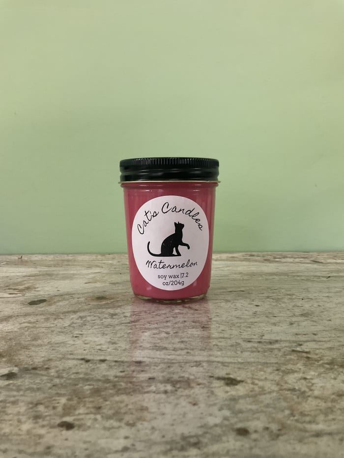 Cats Candle 7.2oz Watermelon