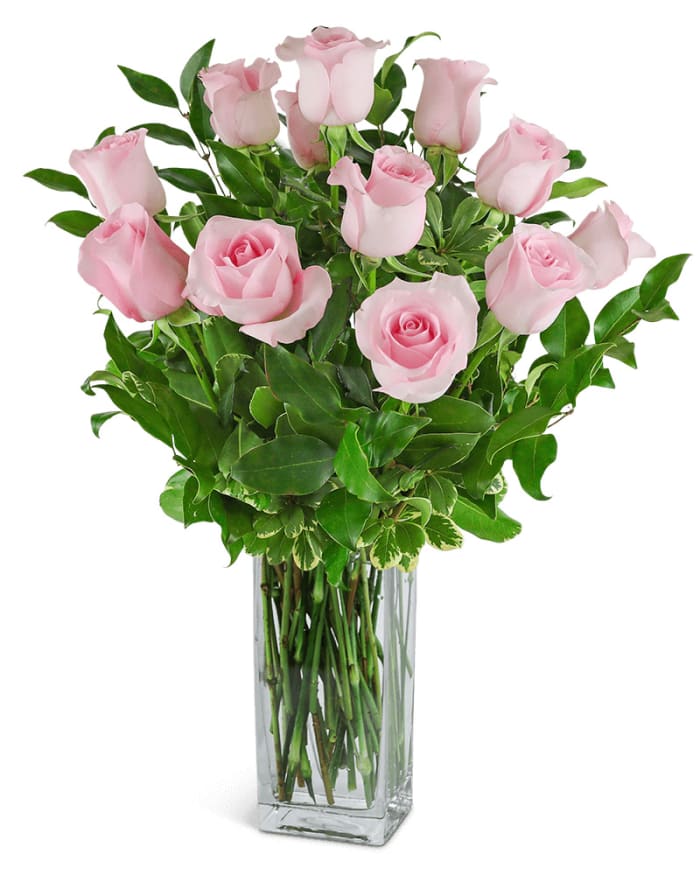 One Dozen Light Pink Roses