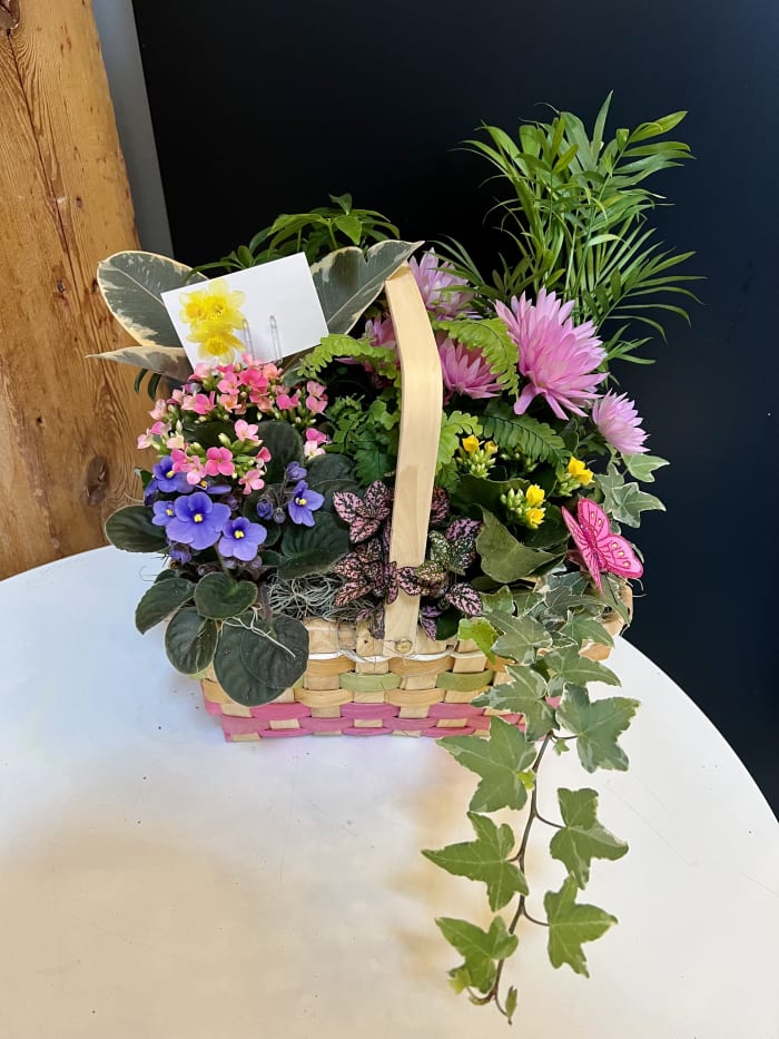 Spring Plant Basket