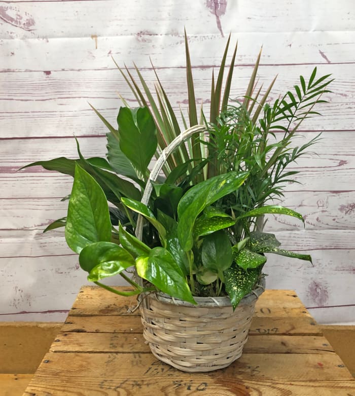 Soothing Meadow Basket