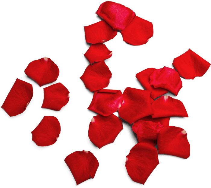 Rose Petals