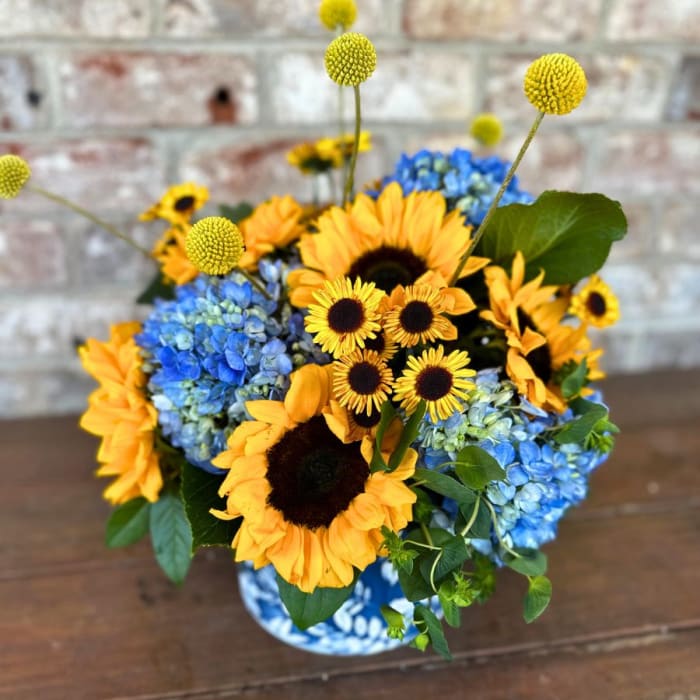 Sunflower Fields