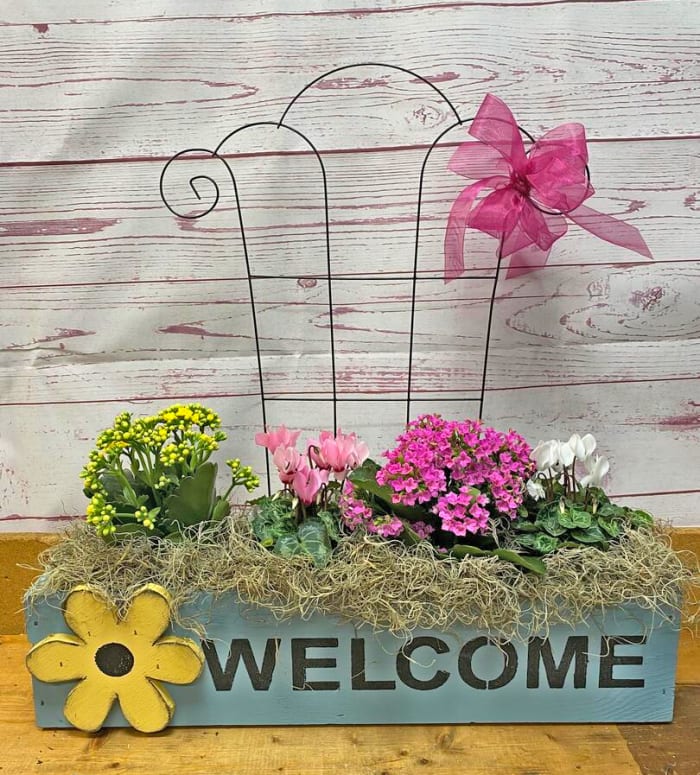 Welcome Planter with Blooming Plants