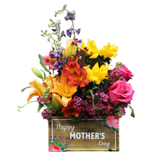 Mothers Day - Happy Mothers Day