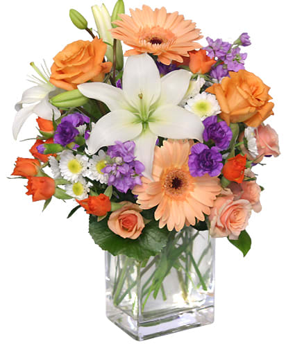 Sweet Georgia Peach Vase