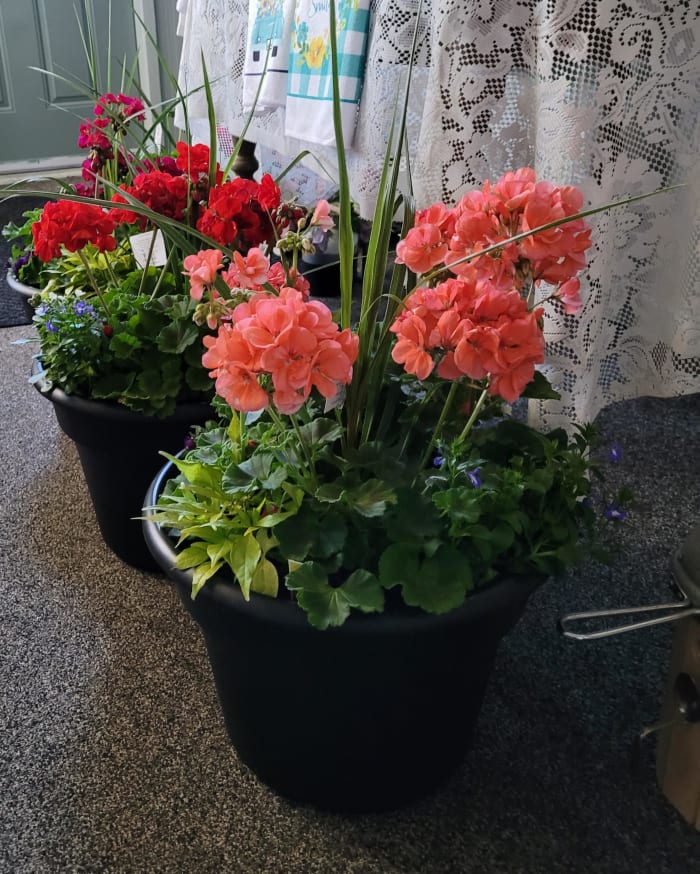 Outdoor Patio Pot - Locally Sourced!