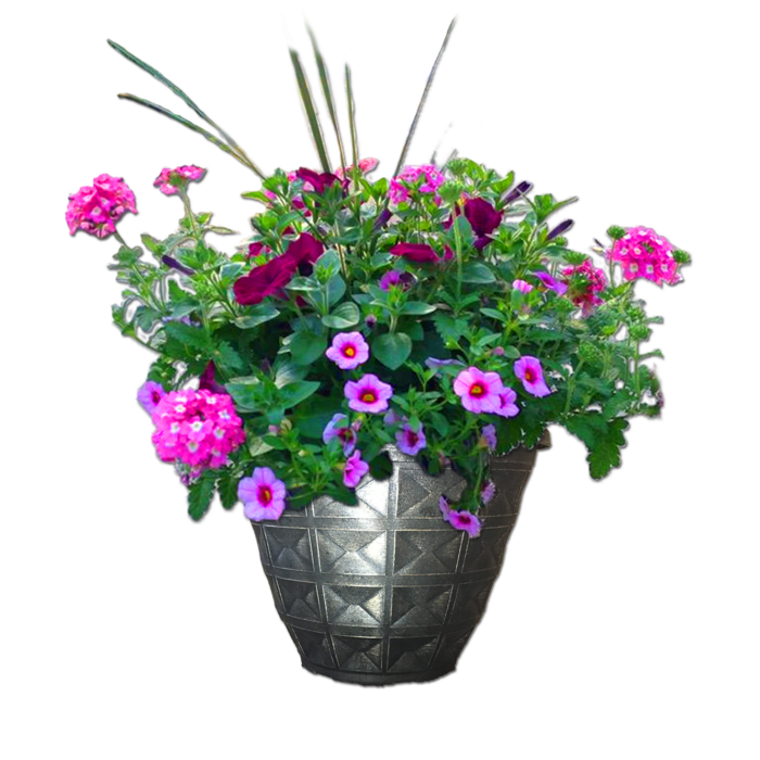 Blooming Garcia Pot