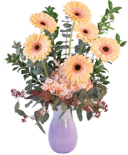 PASTEL GERBERAS