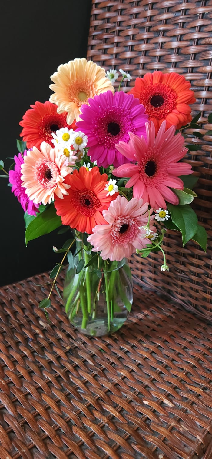 Glorious Gerberas