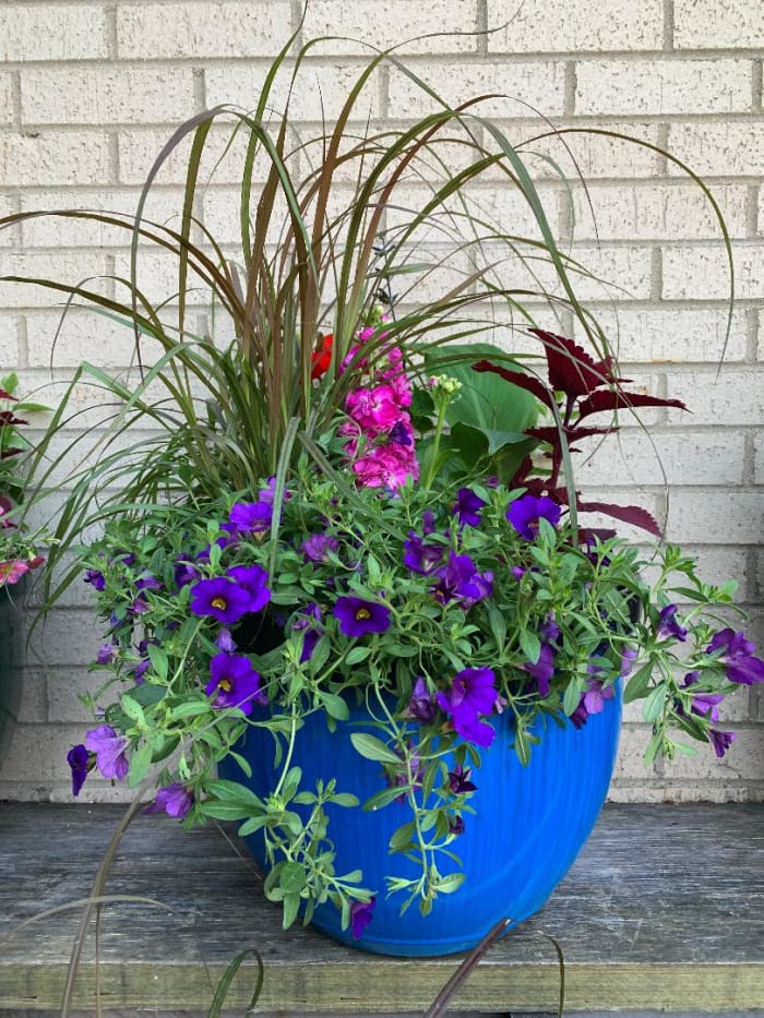 Large Spring Outdoor Garden Planter Flower Delivery Geneva IL Town