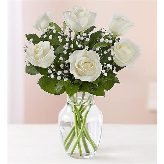 Classic 6 White Rose Vase