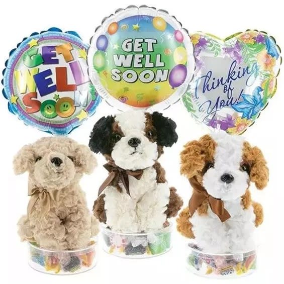 Get Well Puppy With Variety Mix Candy