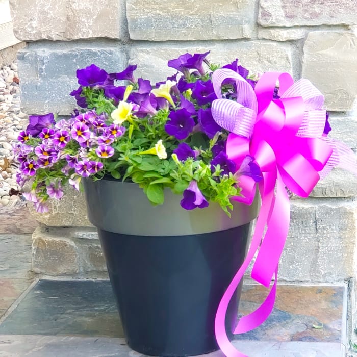 Outdoor Petunia Patio Planter