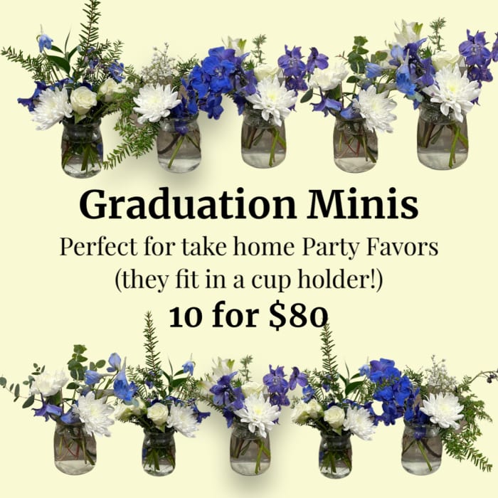 Graduation Minis- Flight of 10