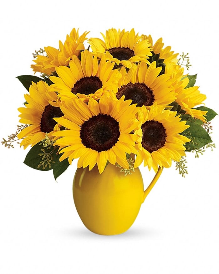 Teleflora's Sunny Day Pitcher of Sunflowers