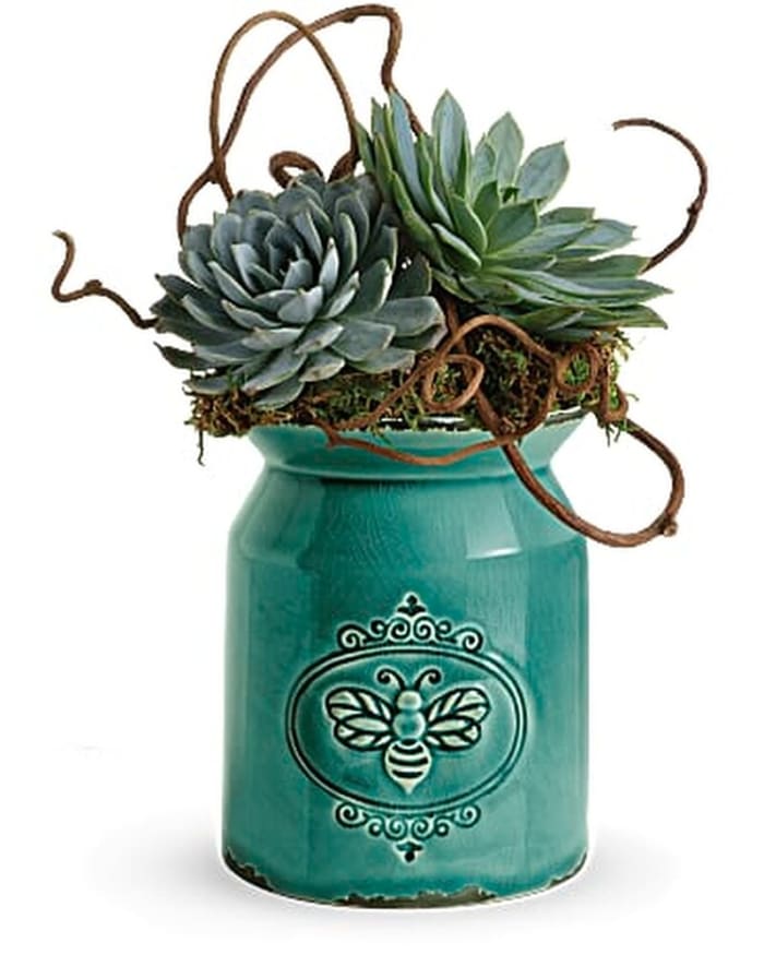 Teleflora's Living Love Garden