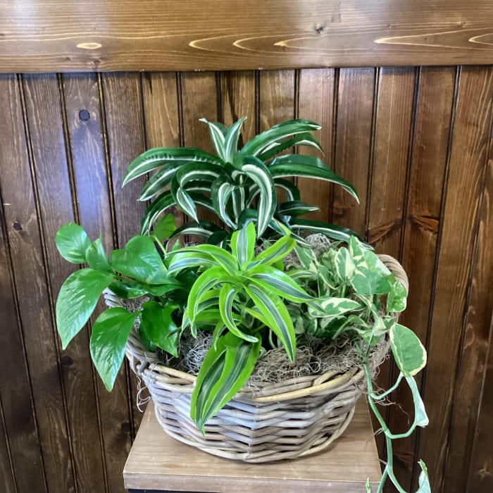 Garden Basket Tribute