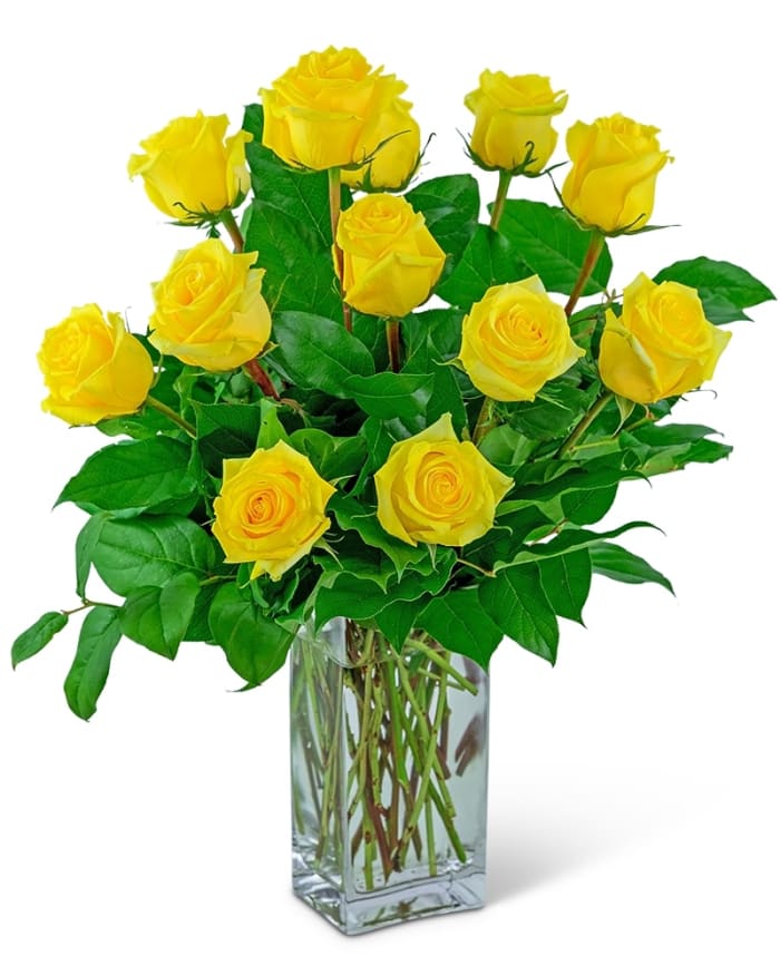 Yellow Roses (12)