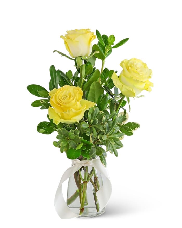 Three Yellow Roses