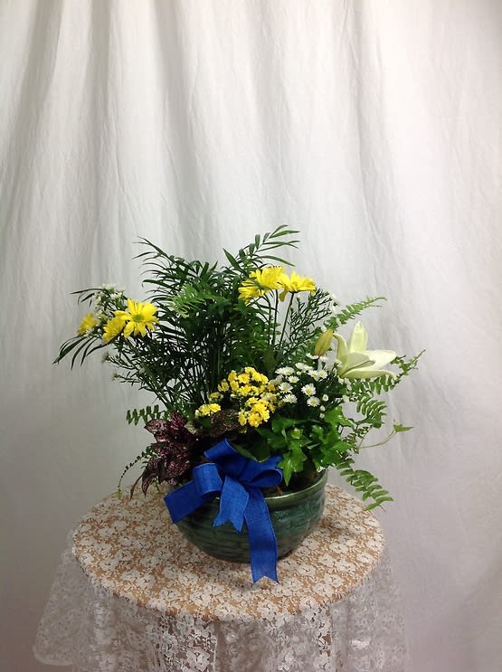 Dish Garden with fresh flowers