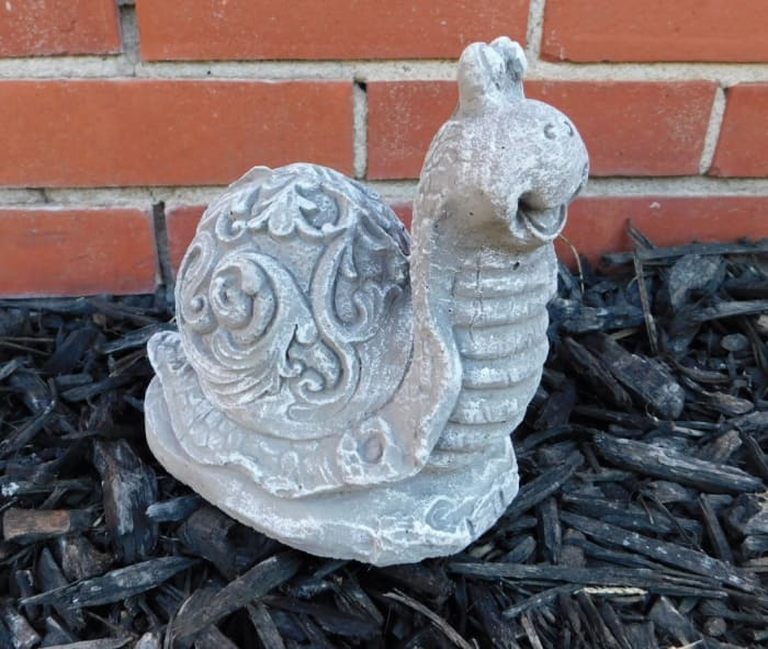 Small Ornate Snail