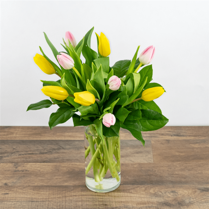 Strawberry Lemonade Tulips