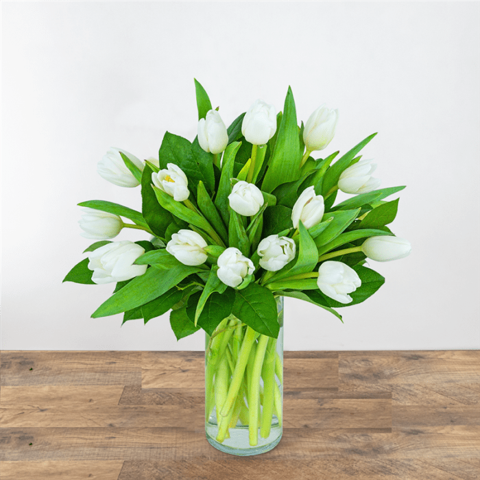 White Tulips